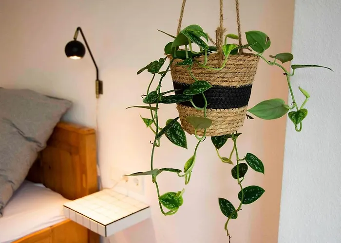 Apartamento Wennequartier